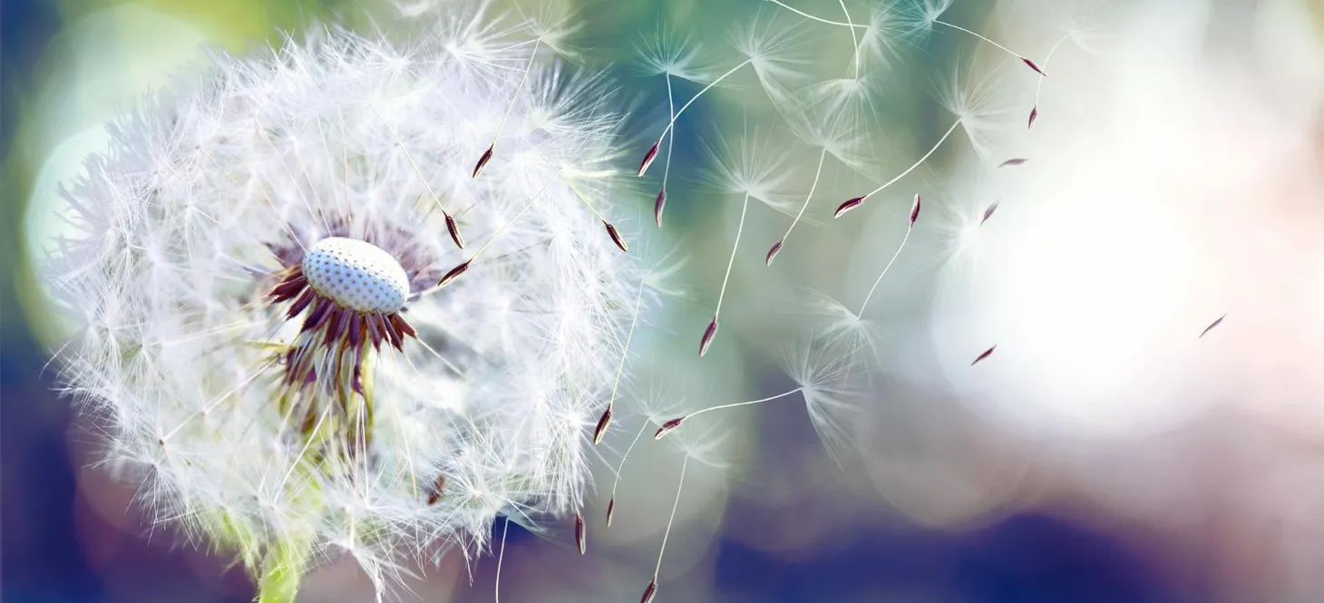 What's your best grief-releasing pathway?